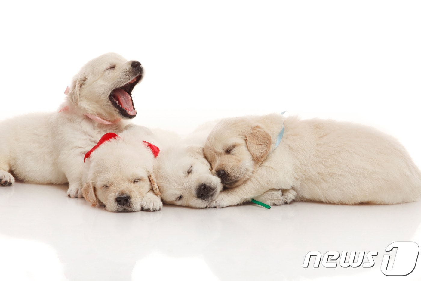 사진 이미지투데이. ⓒ News1