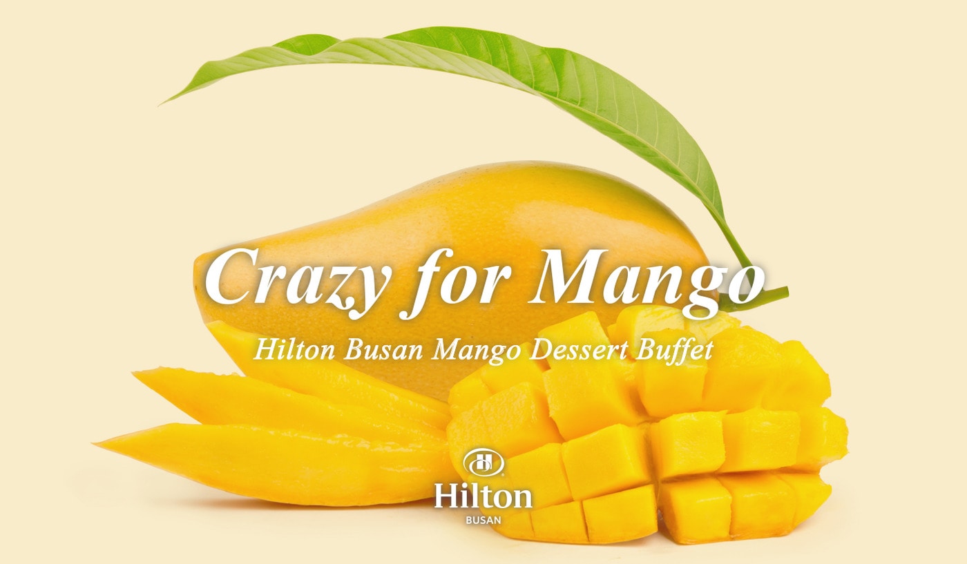 힐튼 부산의 크레이지 포 망고 프로모션 이미지