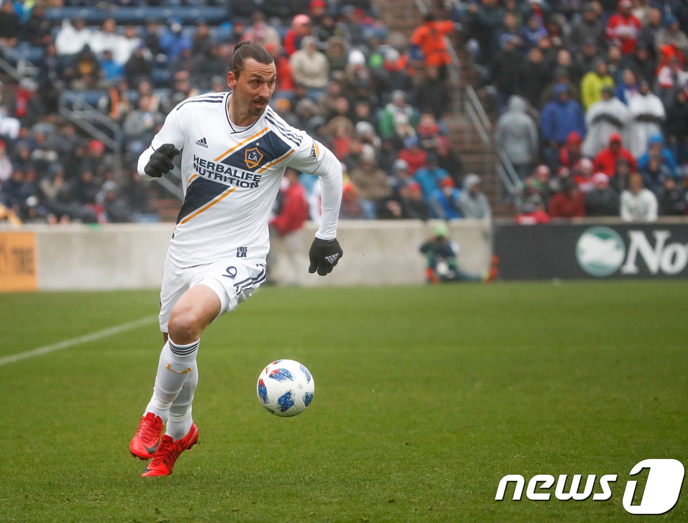 즐라탄 이브라히모비치(37) ⓒ AFP=News1