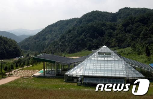 양구생태식물원 온실 전경. (양구군 제공) 2018.4.29/뉴스1 ⓒ News1