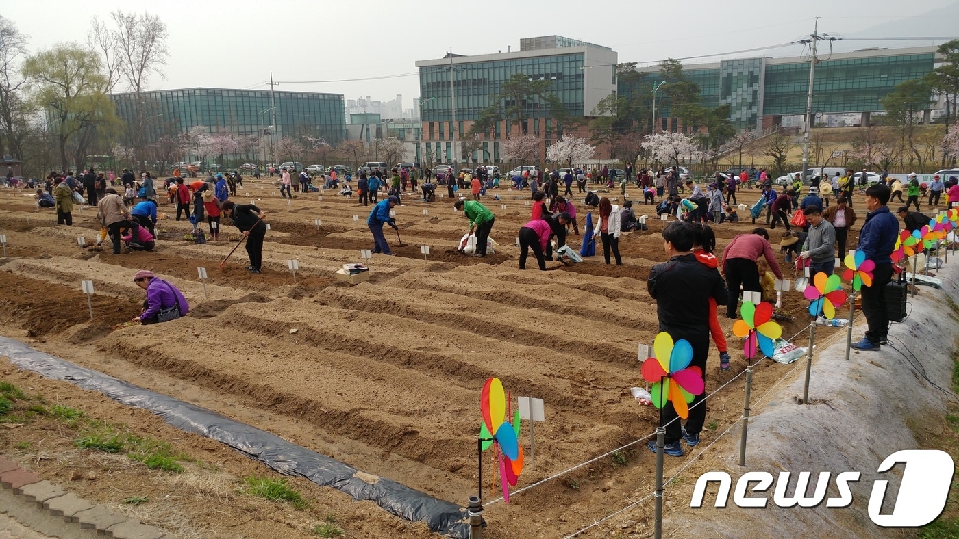 도봉구 쌍문동 친환경 텃밭 개장(도봉구 제공)ⓒ News1