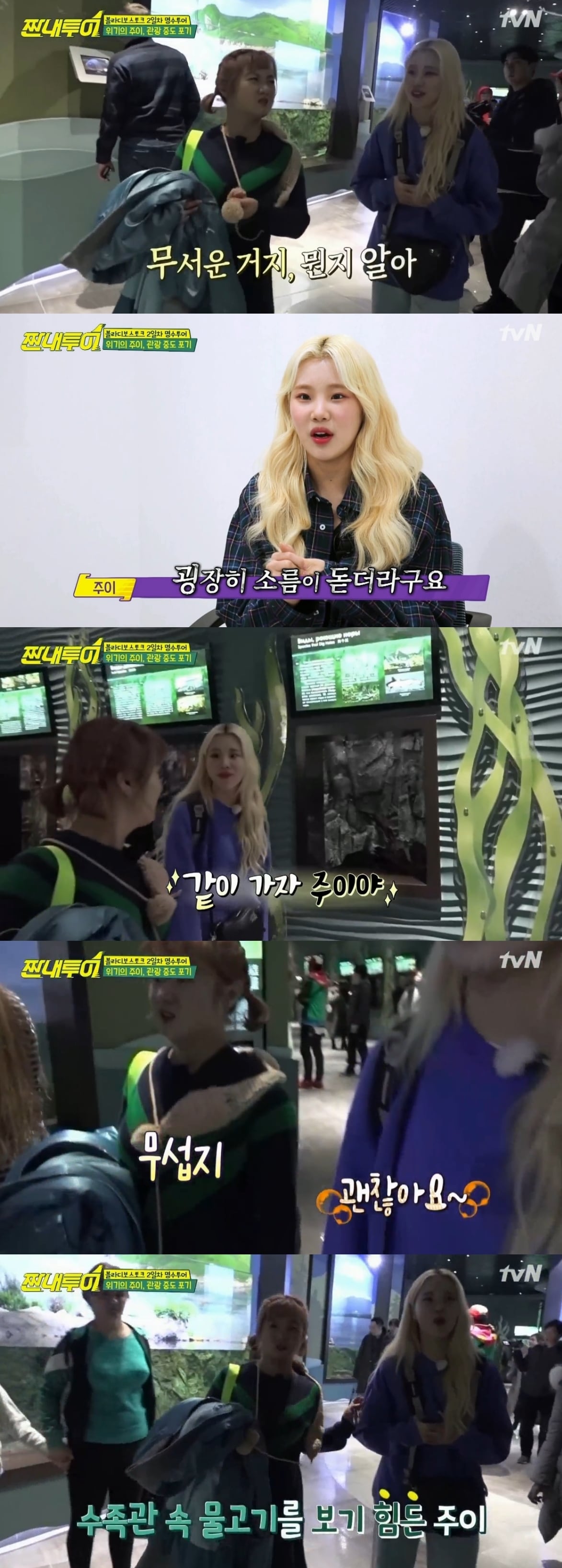 tvN '짠내투어' 캡처ⓒ News1