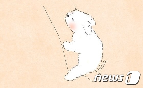 마운팅하는 반려견 ⓒ News1 이은주 디자이너