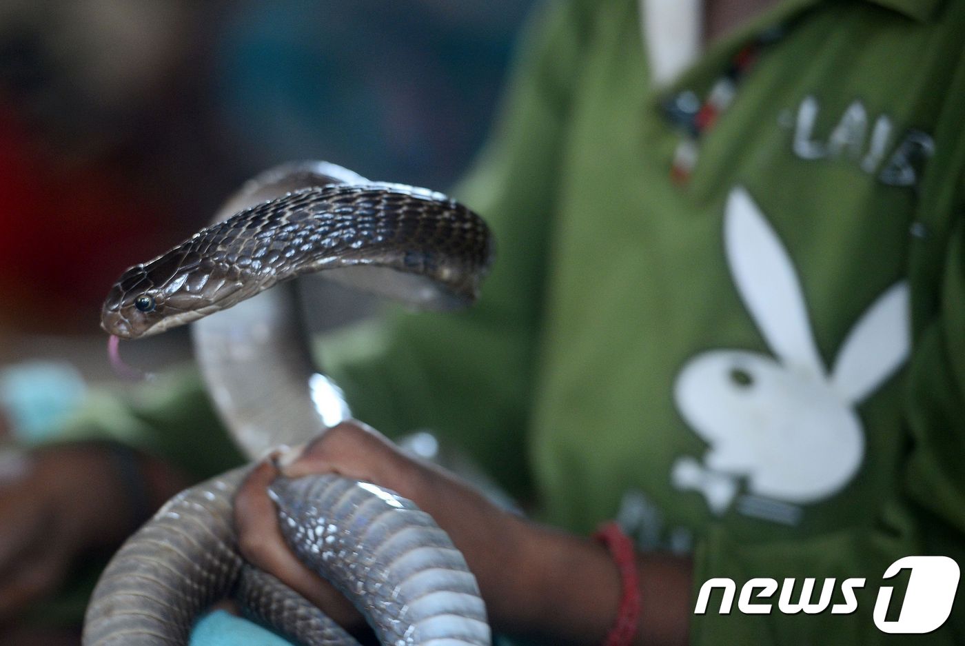 (자료사진) ⓒ AFP=뉴스1