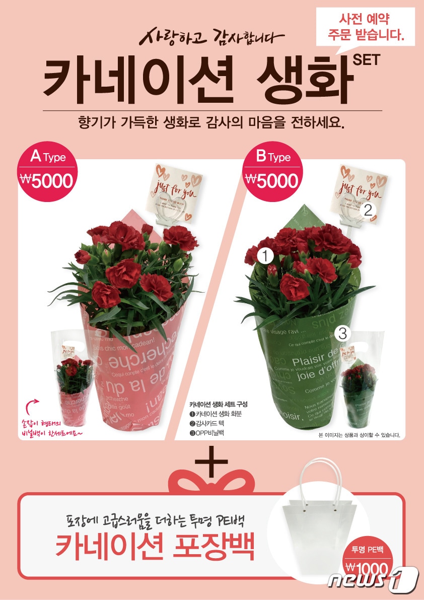 다이소 카네이션 생화 제품 안내. ⓒ News1