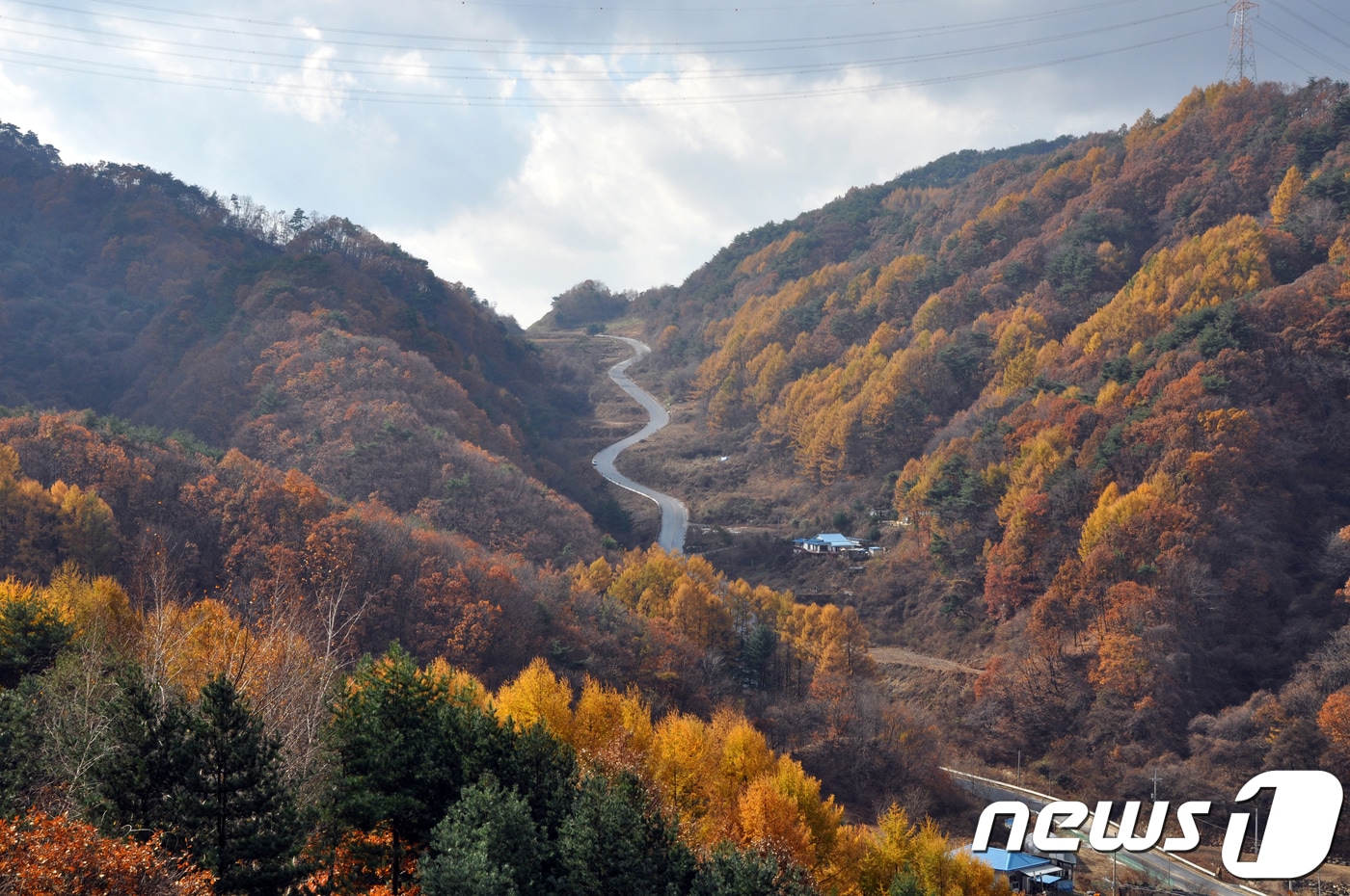 원주 귀래면 숲길(북부산림청 제공) ⓒ News1 노정은 기자