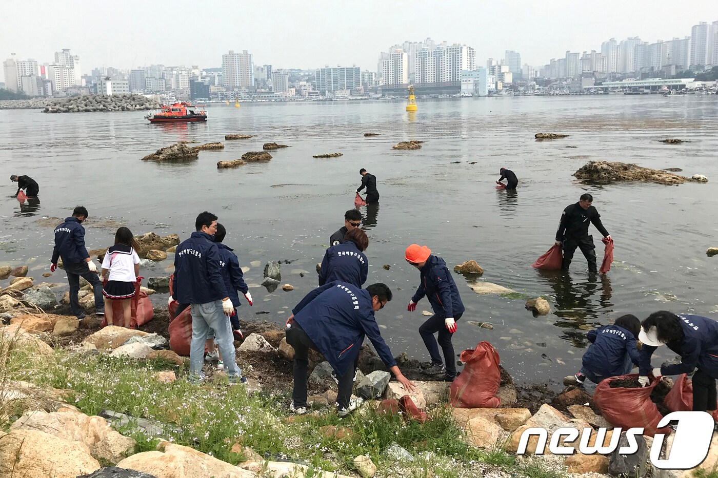 울산 동구 방어진항 특별 환경정비 자료사진.(울산 동구 제공. 재판매 및 DB 금지)/뉴스1