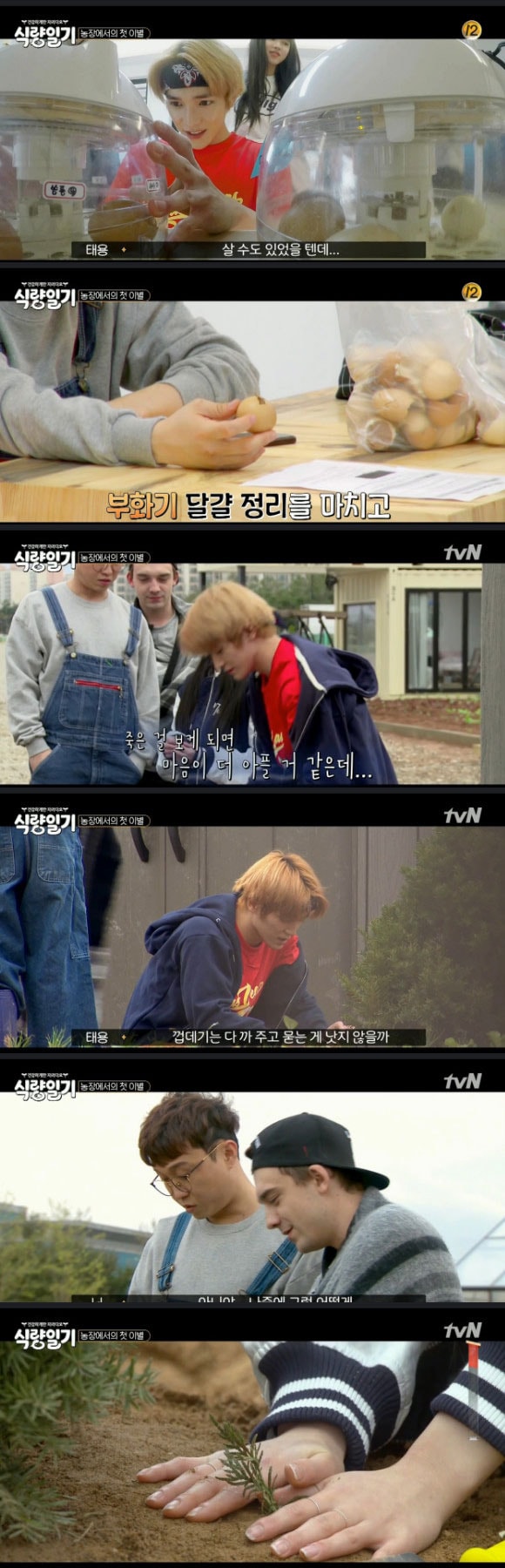 '식량일기' 캡처 ⓒ News1