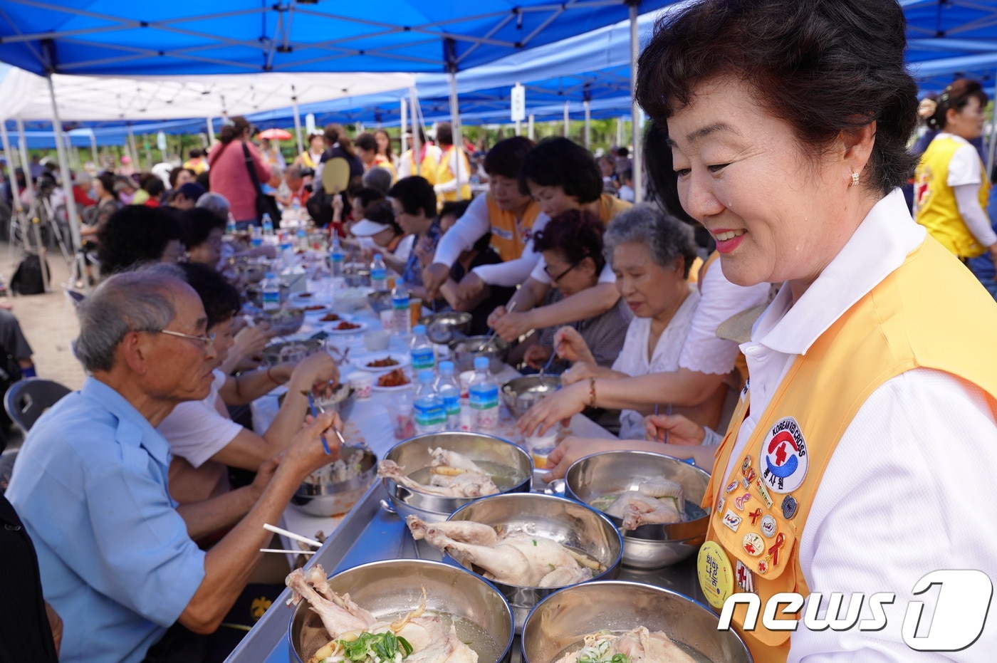 적십자 봉사원이 어르신들에게 삼계탕 배식을 하고 있는 모습. ⓒ News1