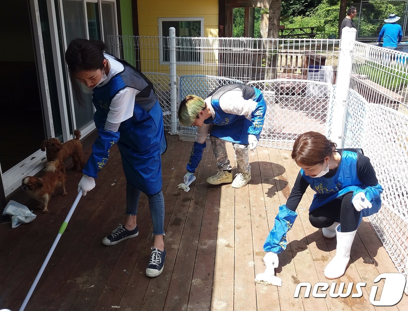 김새론, 아이콘 김진환, 이여주가 지난 15일 유기견보호소를 청소하고 있다. ⓒ News1 최서윤 기자
