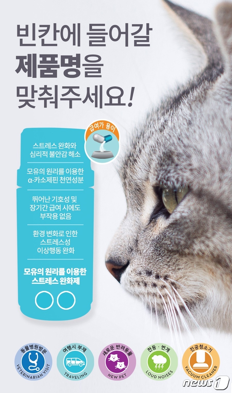 베토퀴놀코리아㈜.ⓒ News1