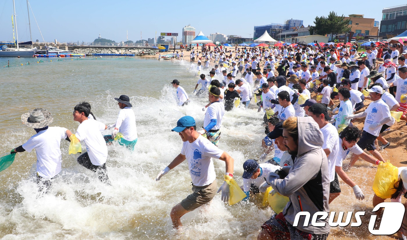 속초 장사항 오징어맨손잡기 축제 /ⓒ News1