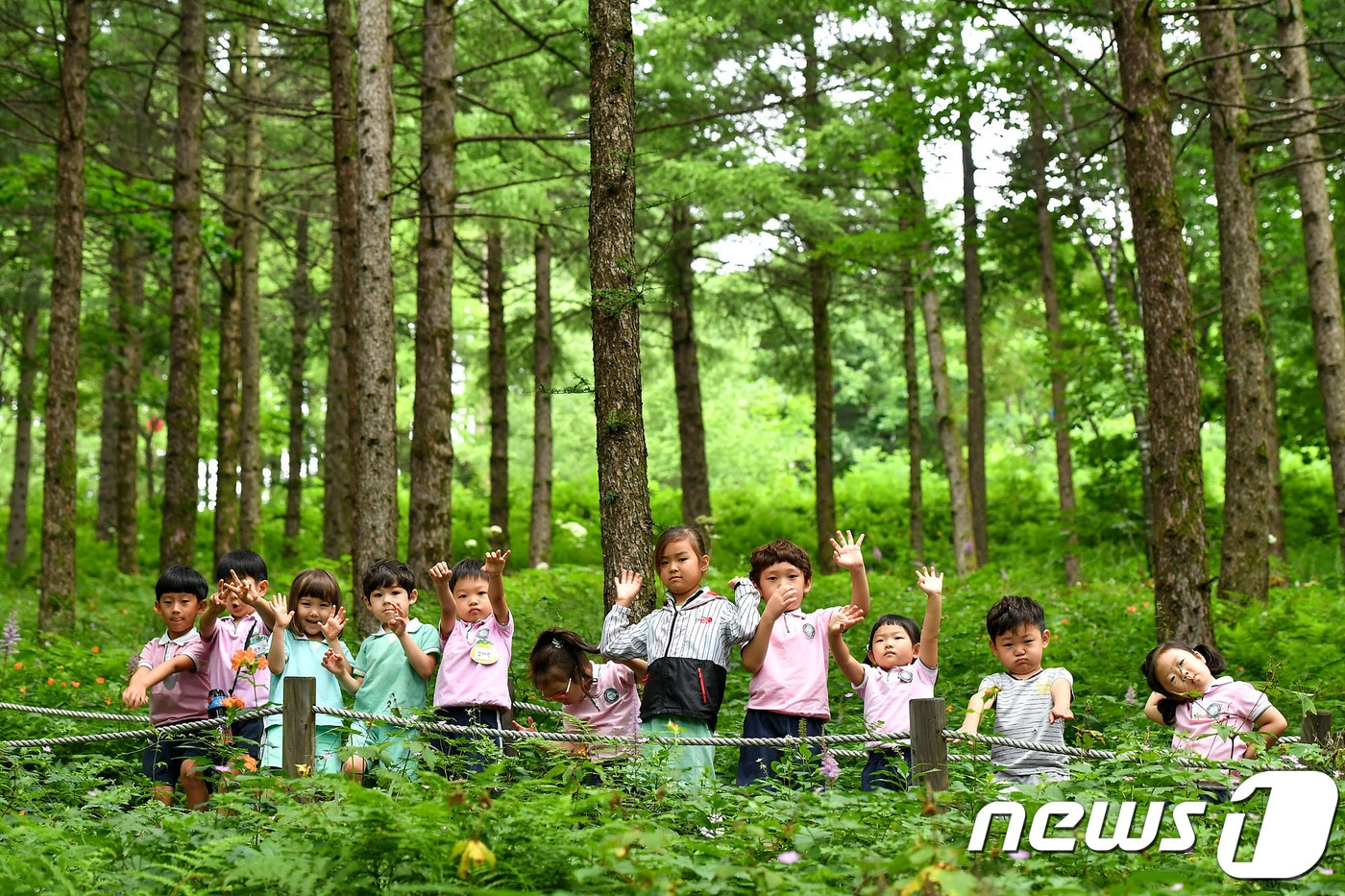 함백산 야생화축제 ⓒ News1 박하림 기자