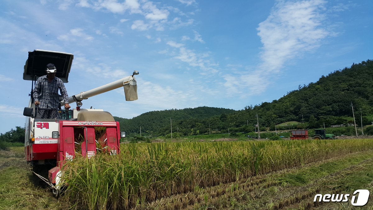 (사진은 기사 내용과 무관함) / 뉴스1 ⓒ News1
