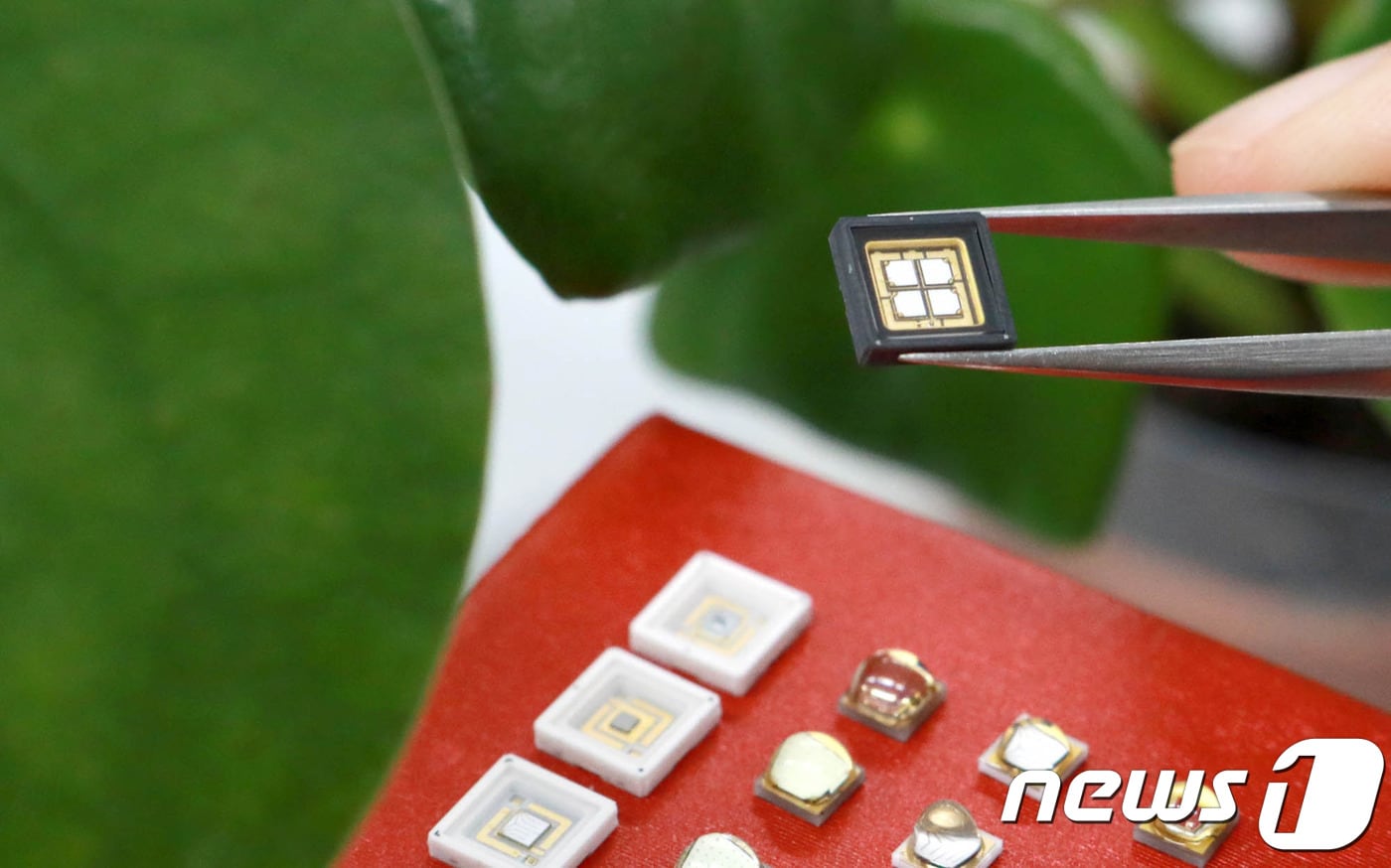 LG이노텍 '식물생장용 LED' 제품. (LG이노텍 제공)ⓒ News1
