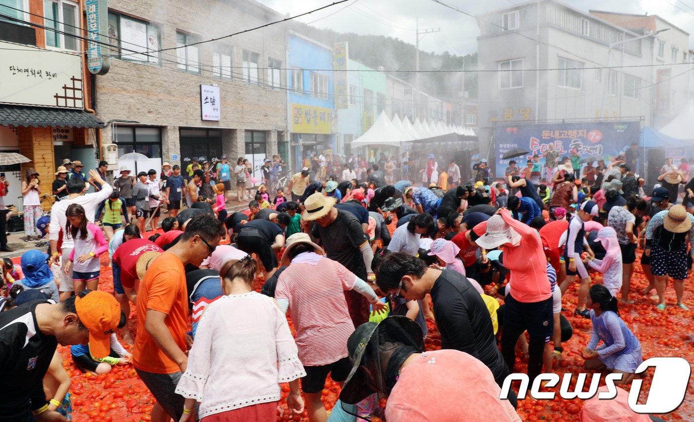 10일 강원 횡성군 둔내면 둔내시장 일원에서 개막한 제7회 둔내 고랭지토마토 축제를 찾은 방문객들이 토마토 풀장에서 황금토마토를 찾아라 이벤트를 즐기고 있다. 축제는 12일까지 열린다.2018.8.10/뉴스1 ⓒ News1 권혜민 기자