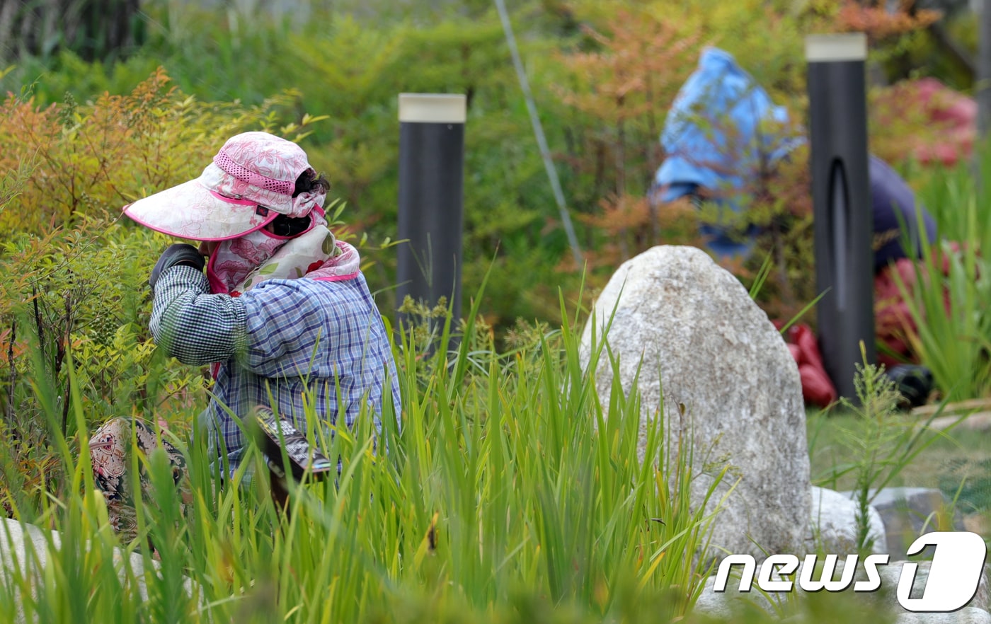 .2018.8.14/뉴스1 ⓒ News1