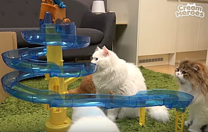 사진 크림히어로즈 중 한 장면. ⓒ News1