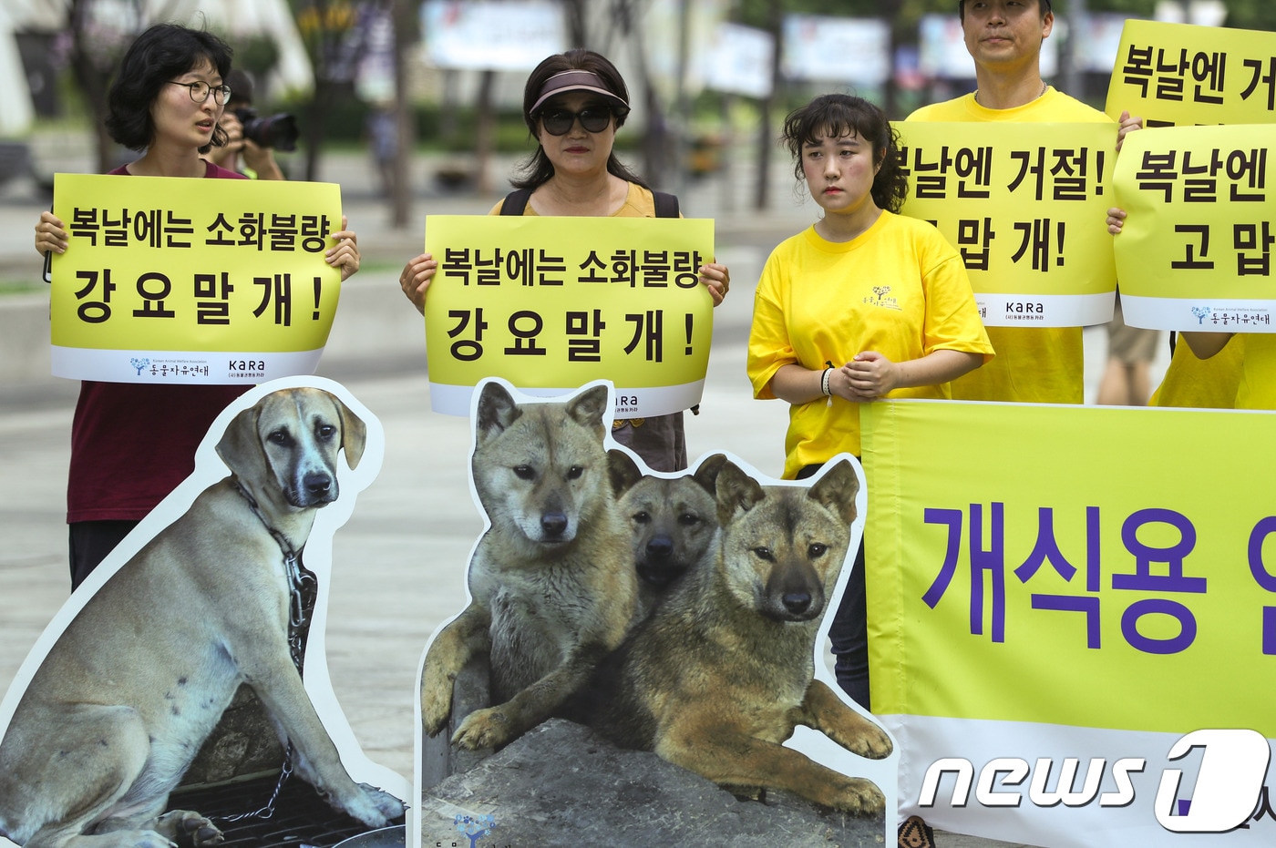 동물자유연대·동물권행동 카라 중복 기자회견ⓒ News1 성동훈 기자