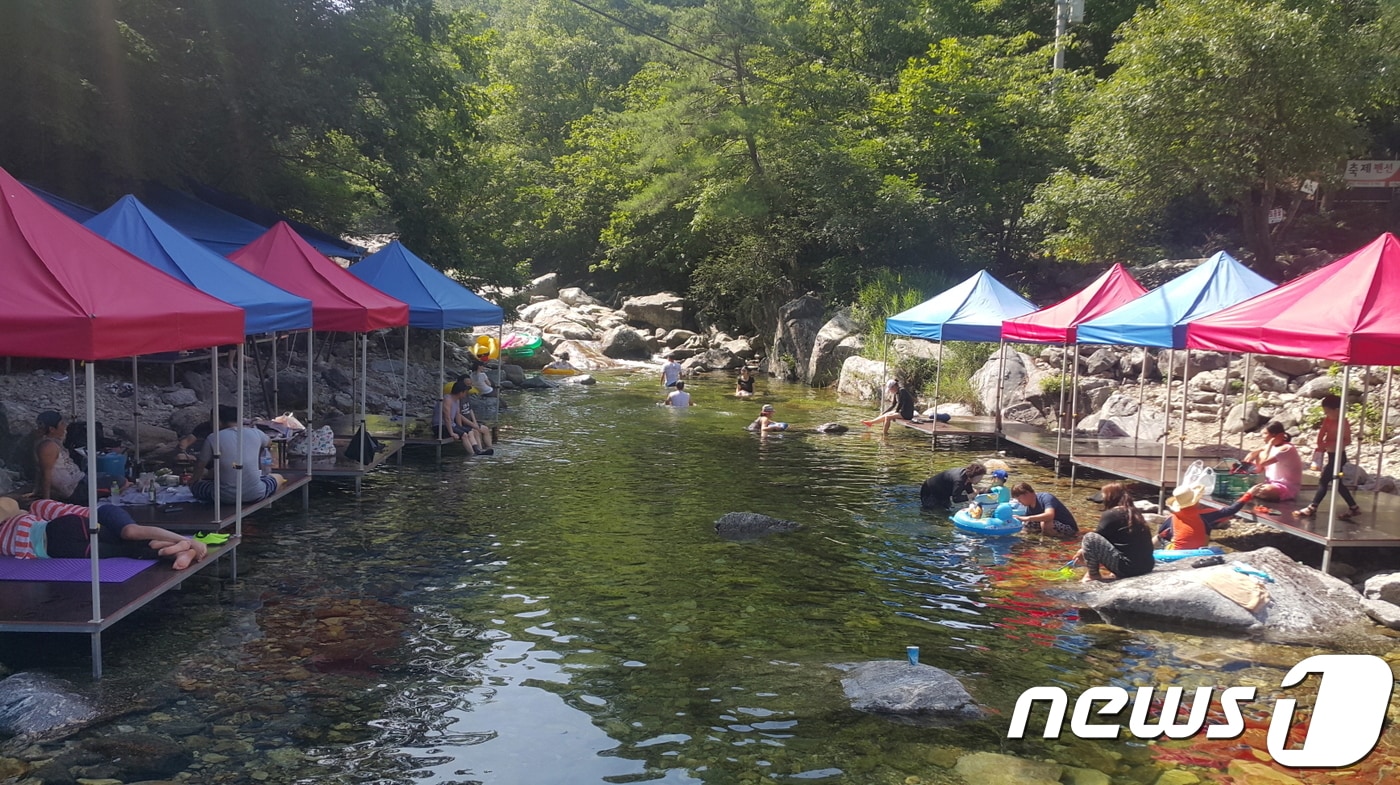 경기도특별사법경찰단은 최근 개발제한구역인 계곡에 평상을 설치하고 음식을 파는 등 불법행위를 해온 숙박업소와 음식점 69개소를 적발. 형사입건했다.(경기도특사경) ⓒ 뉴스1 진현권 기자
