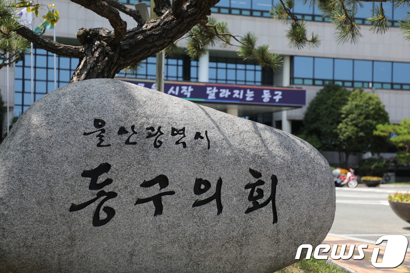 울산 동구의회./뉴스1 ⓒ News1