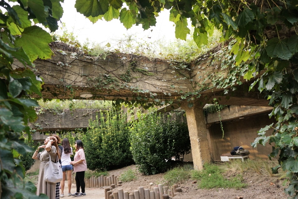 성수동 나비정원. 이하 한국관광공사 제공