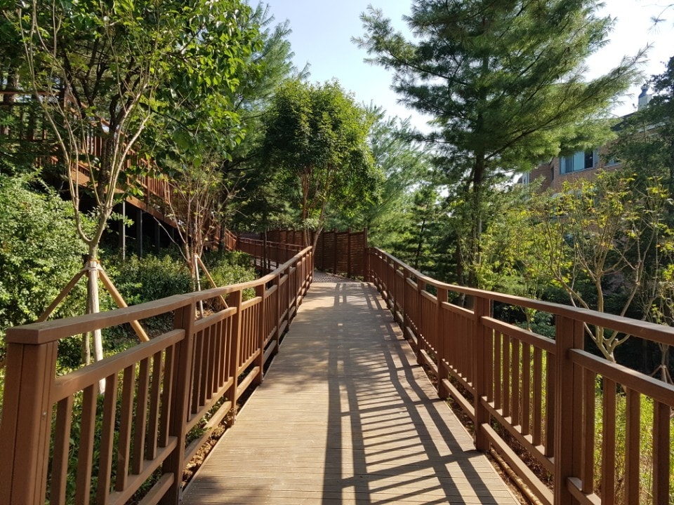 천마공원 치유숲 데크로드(송파구 제공).ⓒ News1