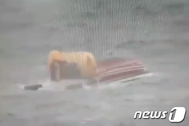 지난 11일 통영시 욕지도 남방 43해리(공해상)에서 낚시어선과 화물선이 충돌, 낚시어선 승객 2명이 실종됐다. 12일 해양경찰이 실종된 승객을 수색하고 있다. (해양경찰청 제공) 2019.1.12/뉴스1