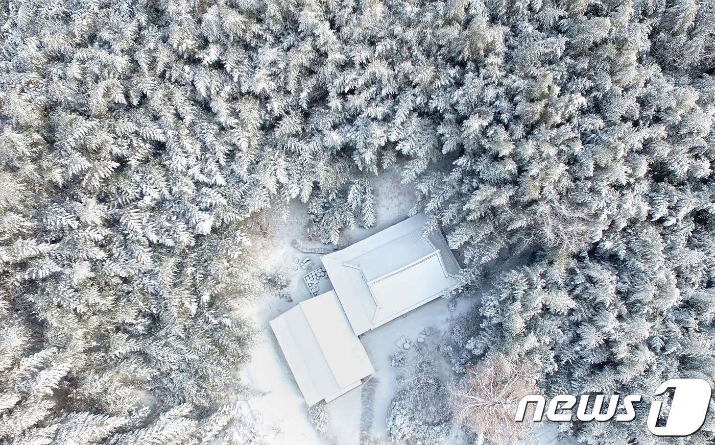 사진은 하늘에서 바라본 전남 담양군 죽녹원 모습. 흰 눈으로 뒤덮인 죽녹원이 마치 동화 속에 들어간 듯한 느낌을 주고 있다(담양군 제공)2019.1.6/뉴스1 ⓒ News1