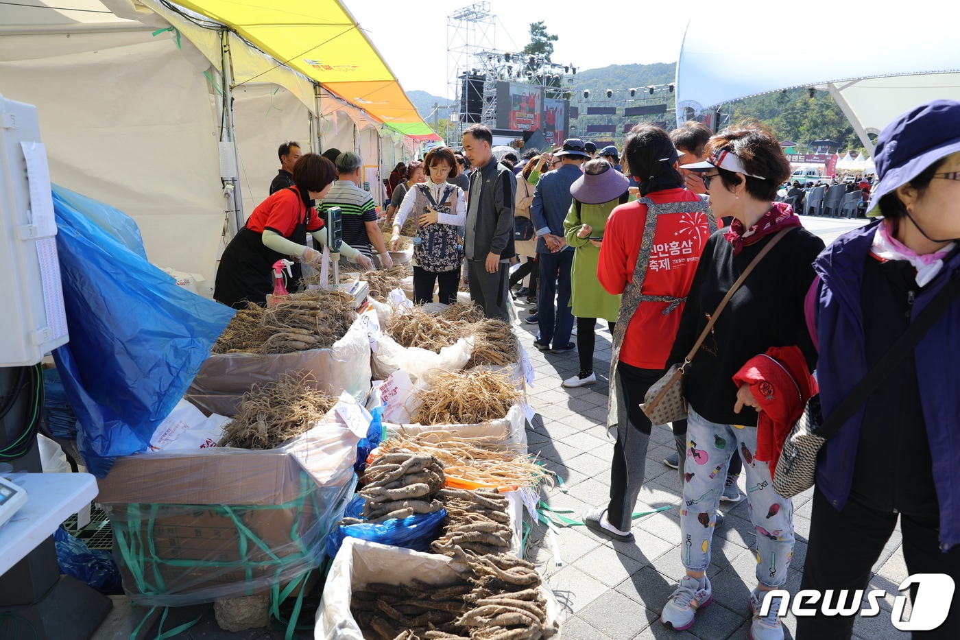 전북 진안군 직영 온라인 쇼핑몰인 ‘진안고원몰’이 오는 8~10일 오픈 1주년과 자체 사이트 쇼핑몰 오픈을 기념하는 이벤트를 시행한다/뉴스1 ⓒ News1 김동규 기자