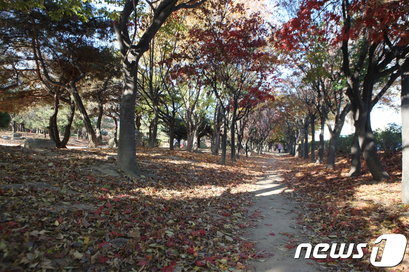 뚝섬 '연인의 길' (서울시 제공) ⓒ 뉴스1