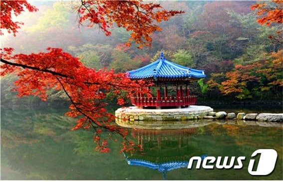 국립공원공단 내장산국립공원사무소는 가을 단풍철을 맞아 내장산국립공원 단풍 명소 세 곳을 선정했다. 사진은 첫번째 명소로 꼽힌 내장산 우화정.  /ⓒ 뉴스1