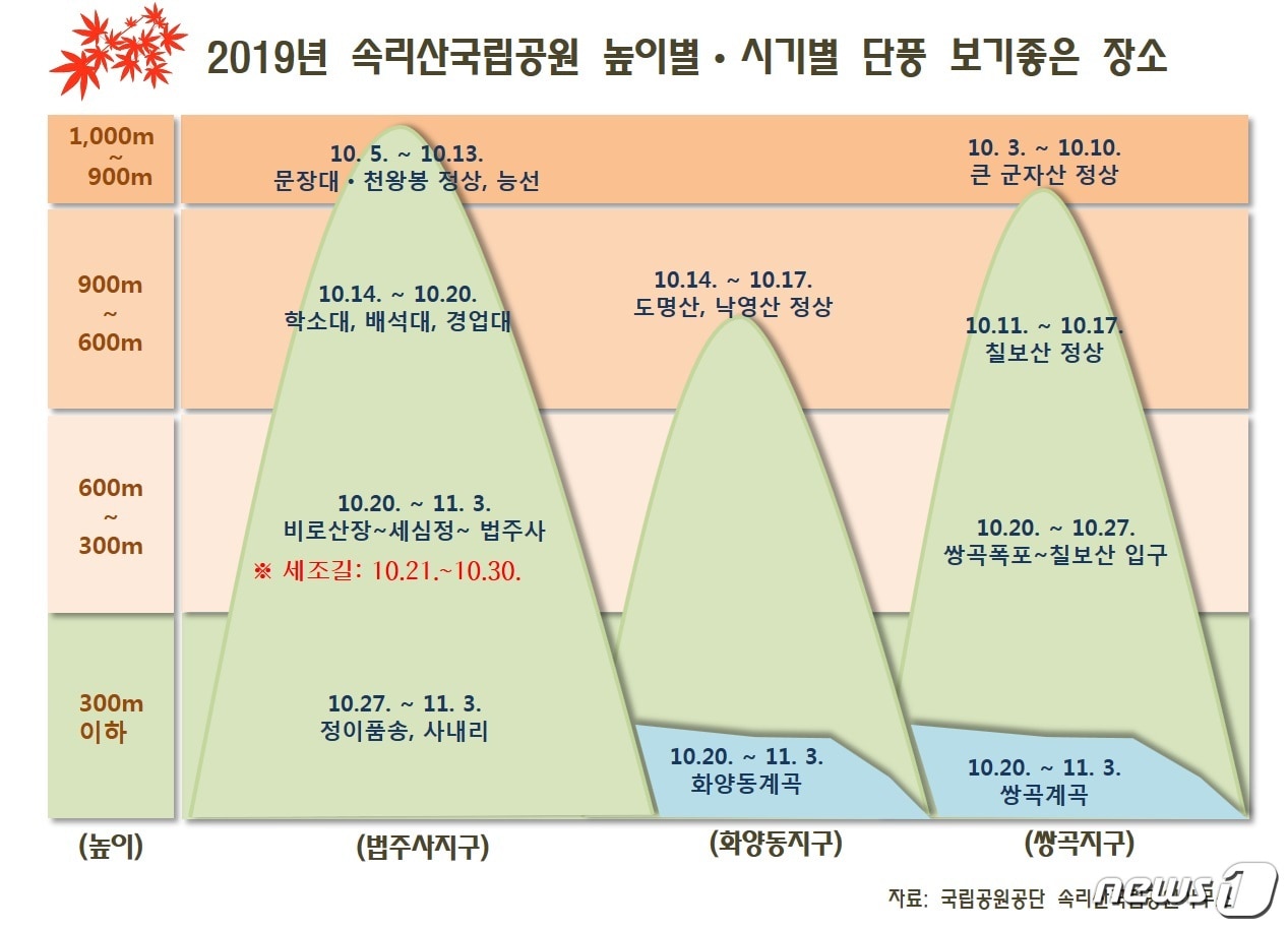 2019년 속리산 단풍 그래프(속리산국립공원사무소 제공) ⓒ 뉴스1