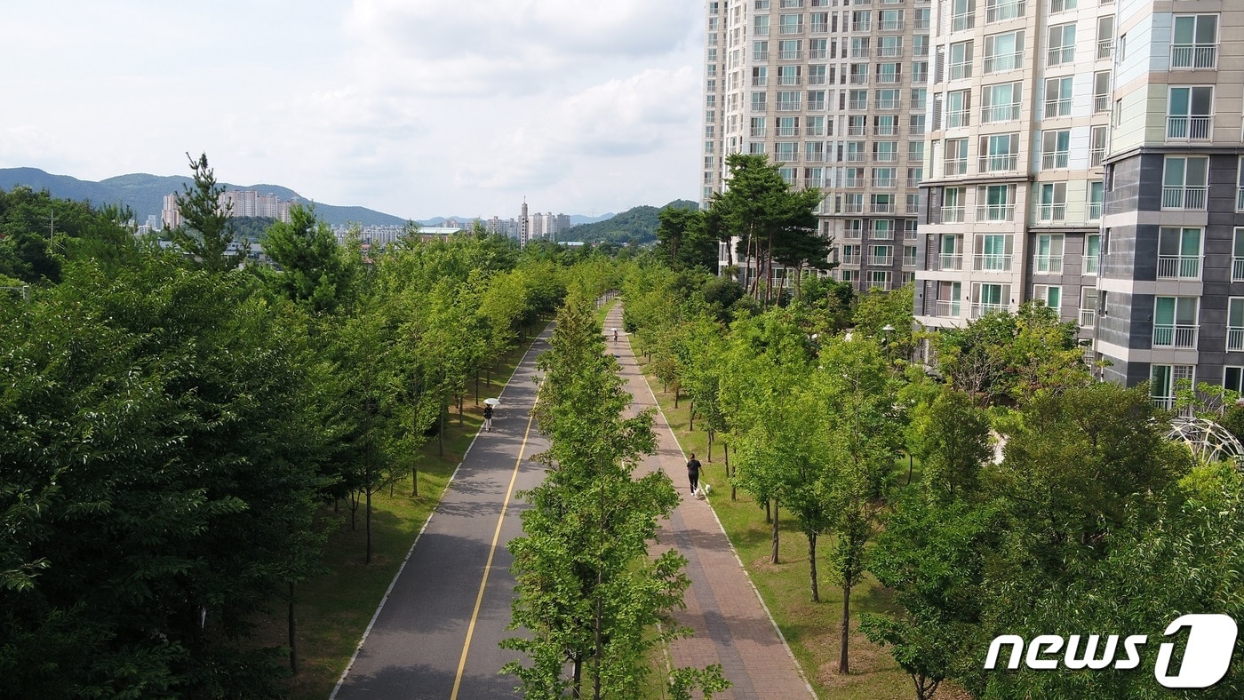 신태생태회랑 가로수 숲길.(순천시 제공) /뉴스1 ⓒ News1