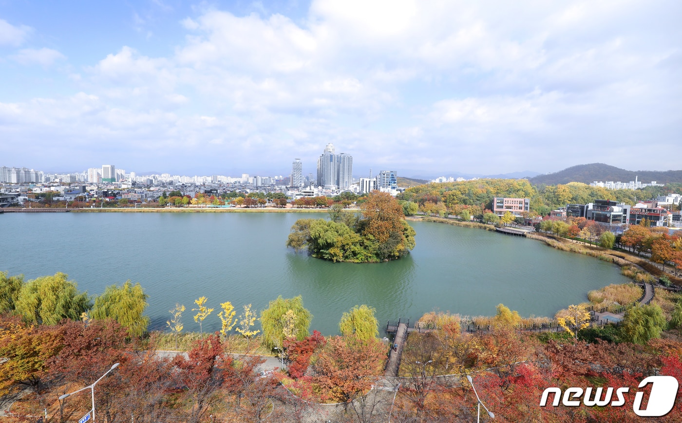 총 사업비 165억원이 투입되는 '월드클래스 수상공연장'(90억원)과 수성못-들안길을 잇는 '스카이브릿지'(75억원) 조성 사업의 설계비가 지난 24일 국회 본회의를 통해 정부 예산안에 반영돼 수성못 개발이 속도를 낼 것으로 예상된다. ⓒ News1 자료사진