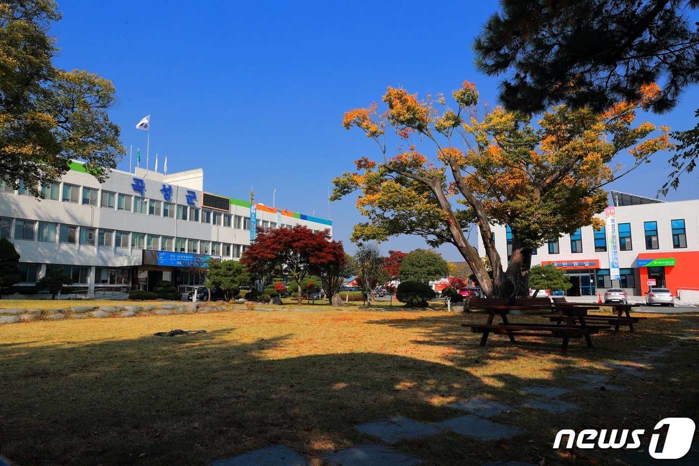 곡성군청/뉴스1