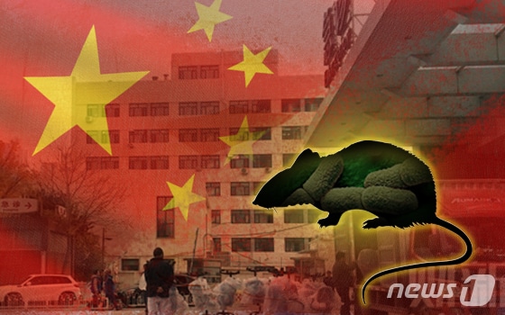 ⓒ News1 이지원 디자이너