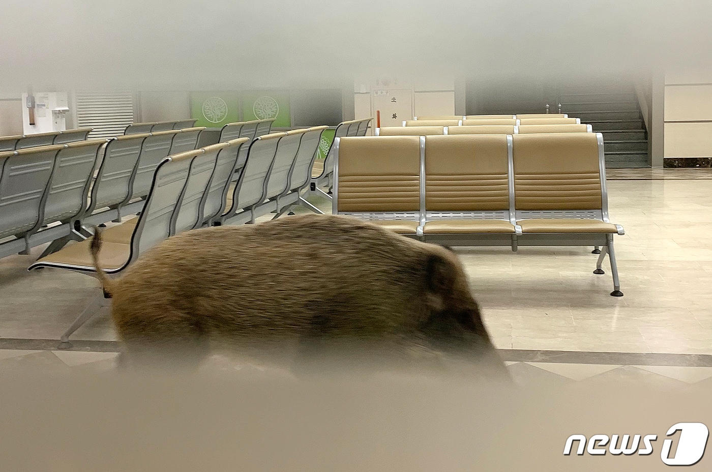 (사진은 기사 내용과 무관함) / 뉴스1 ⓒ News1