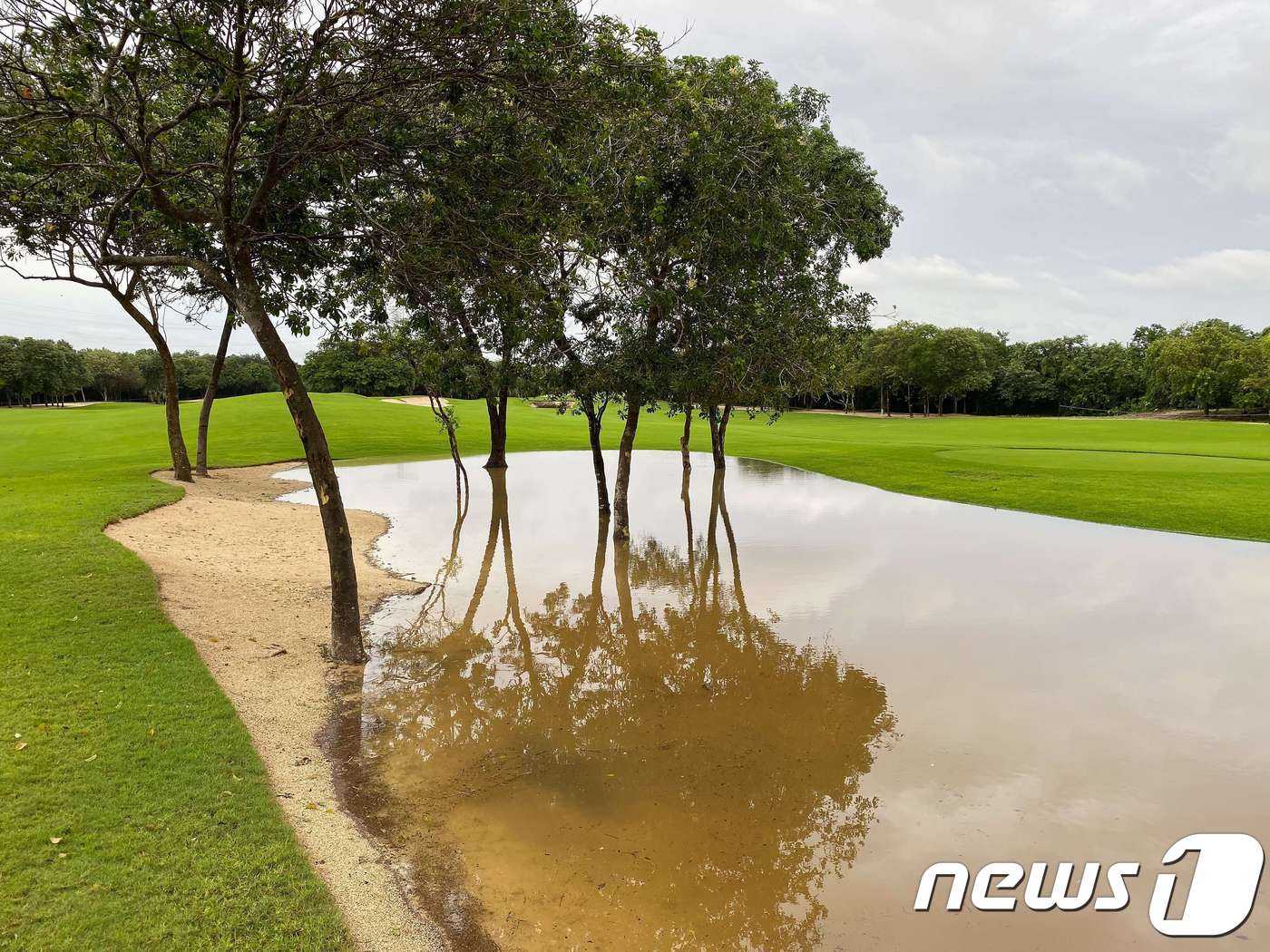 PGA투어 마야코바 골프 클래식 1라운드가 비로 인해 순연됐다. ⓒ AFP=뉴스1