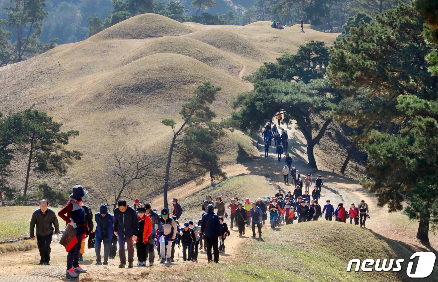 9일 경북 고령군 대가야 고분군 일대에서 열린 '제9회 대가야 왕릉길 걷기대회'에 참여한 등산객들이 고분군 언덕을 오르고 있다. 2019.11.9/뉴스1 ⓒ News1 정우용 기자