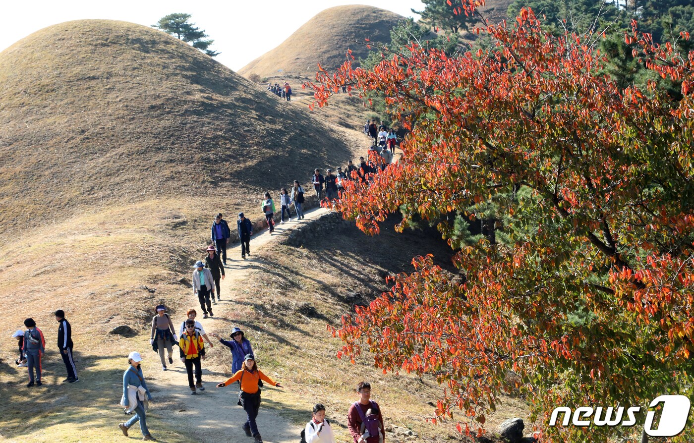 9일 경북 고령군 대가야 고분군 일대에서 열린 '제9회 대가야 왕릉길 걷기대회'에 참여한 등산객들이 단풍이 절정으로 물든 왕릉길을 걷고 있다.2019.11.9/뉴스1 ⓒ News1 정우용 기자