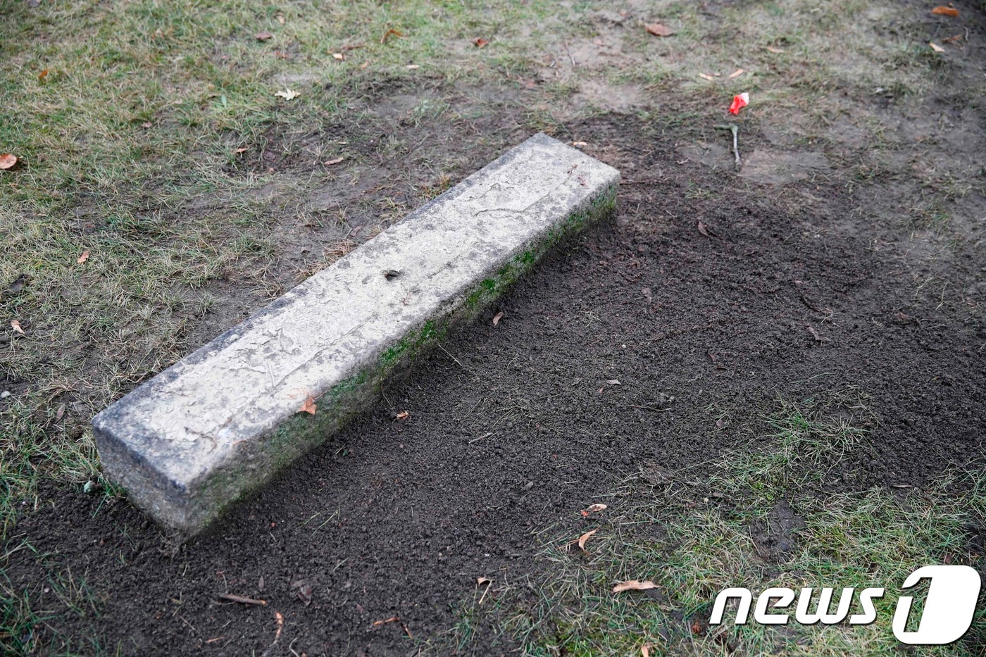 파헤쳐진 라인하르트 하이드리히의 묘.  ⓒ AFP=뉴스1