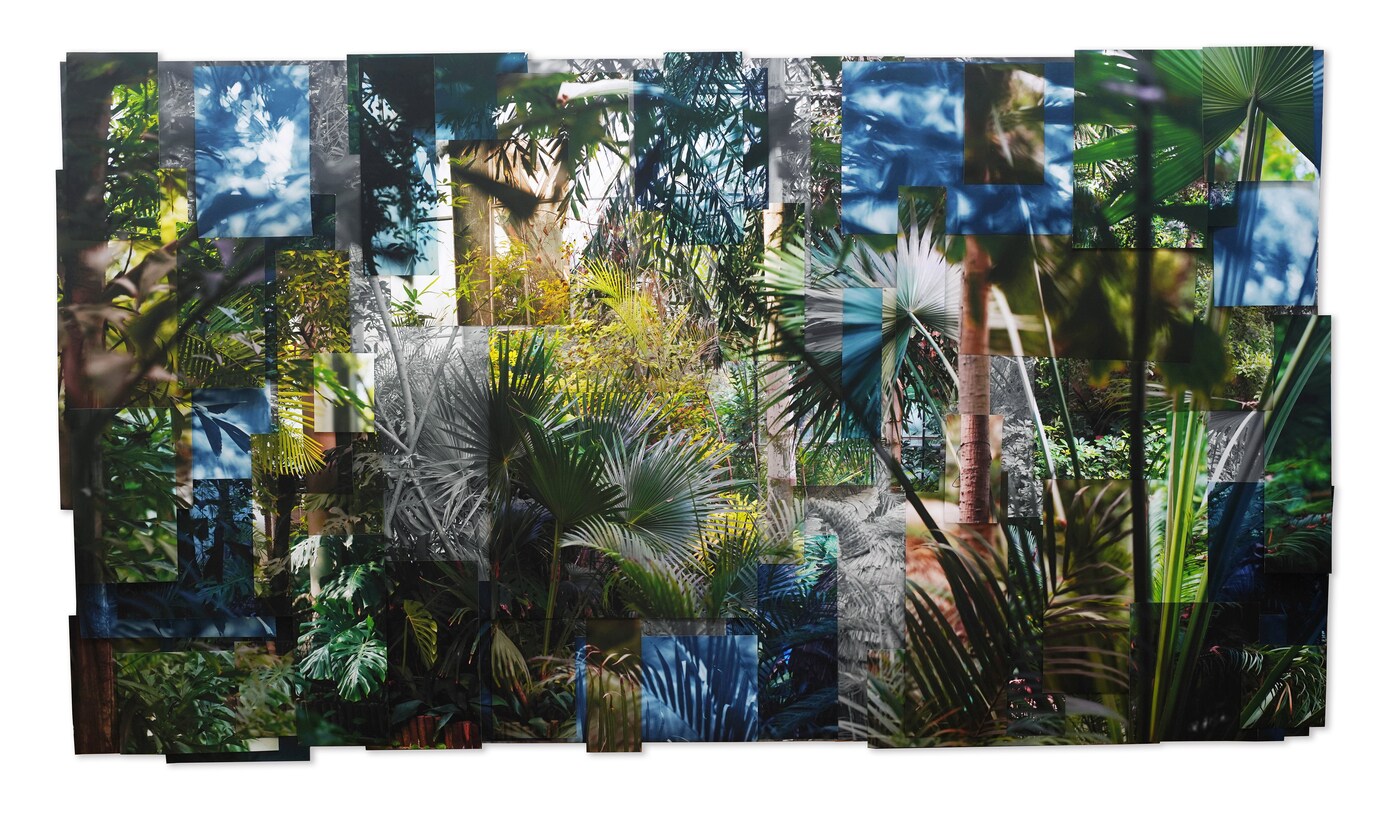 지저우, Greenhouse No. 5, pigment print on various paper, photographic collage, ed. 3/3, 110x200㎝, 2019.(갤러리수 제공)ⓒ 뉴스1