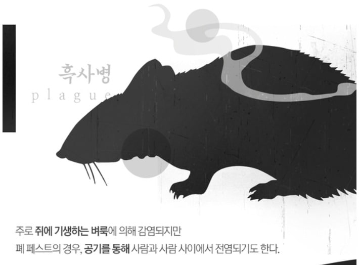 ⓒ 뉴스1
