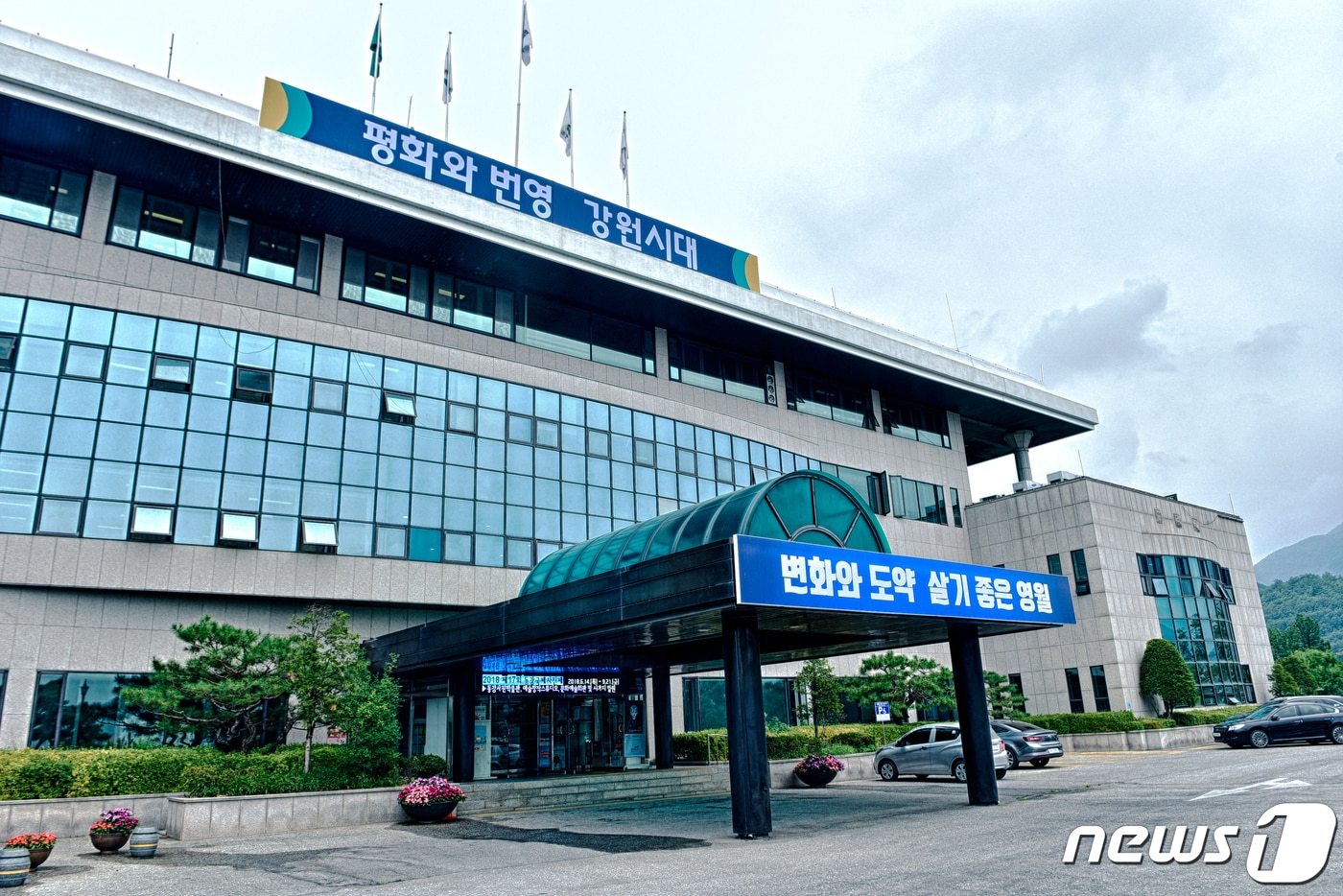 영월군청 전경. (뉴스1 DB)