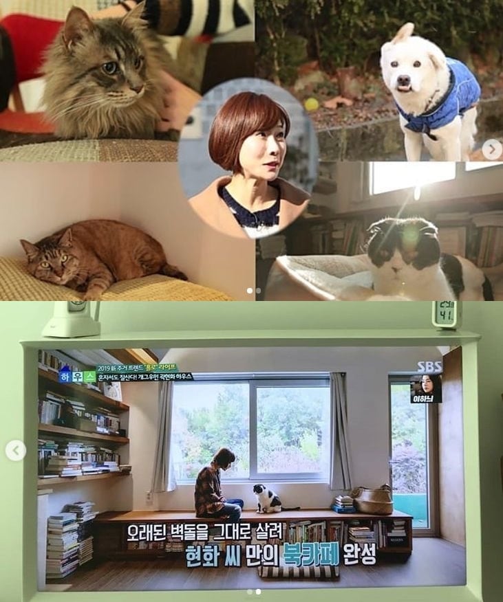 SBS 좋은아침 캡처, 곽현화 인스타그램 ⓒ 뉴스1