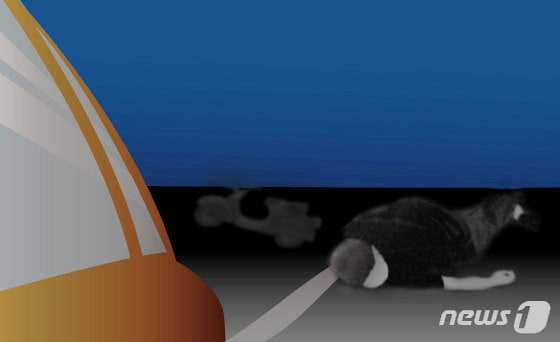 익산서 자전거 탄 80대 치어 숨지게 한 20대 외국인 유학생 검거