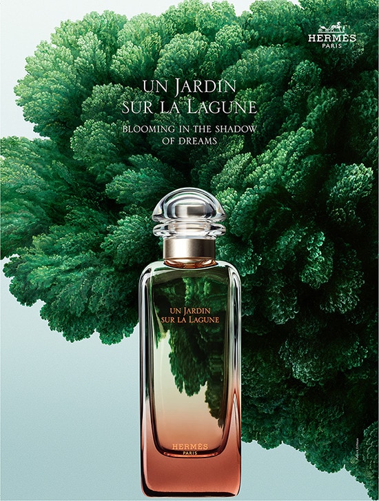 에르메스 운 자르뎅 수르 라 라군 오 드 뚜왈렛 ⓒ 뉴스1