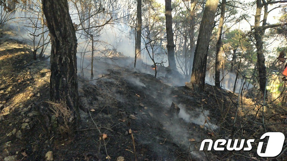 13일 오후 4시33분께 인천시 부평구 처천동 나비공원 인근 장수산에서 불이 나 신고를 받고 출동한 소방대원이 진화작업을 벌이고 있다.(인천소방본부 제공)2019.3.13/뉴스1 ⓒ News1 박아론 기자