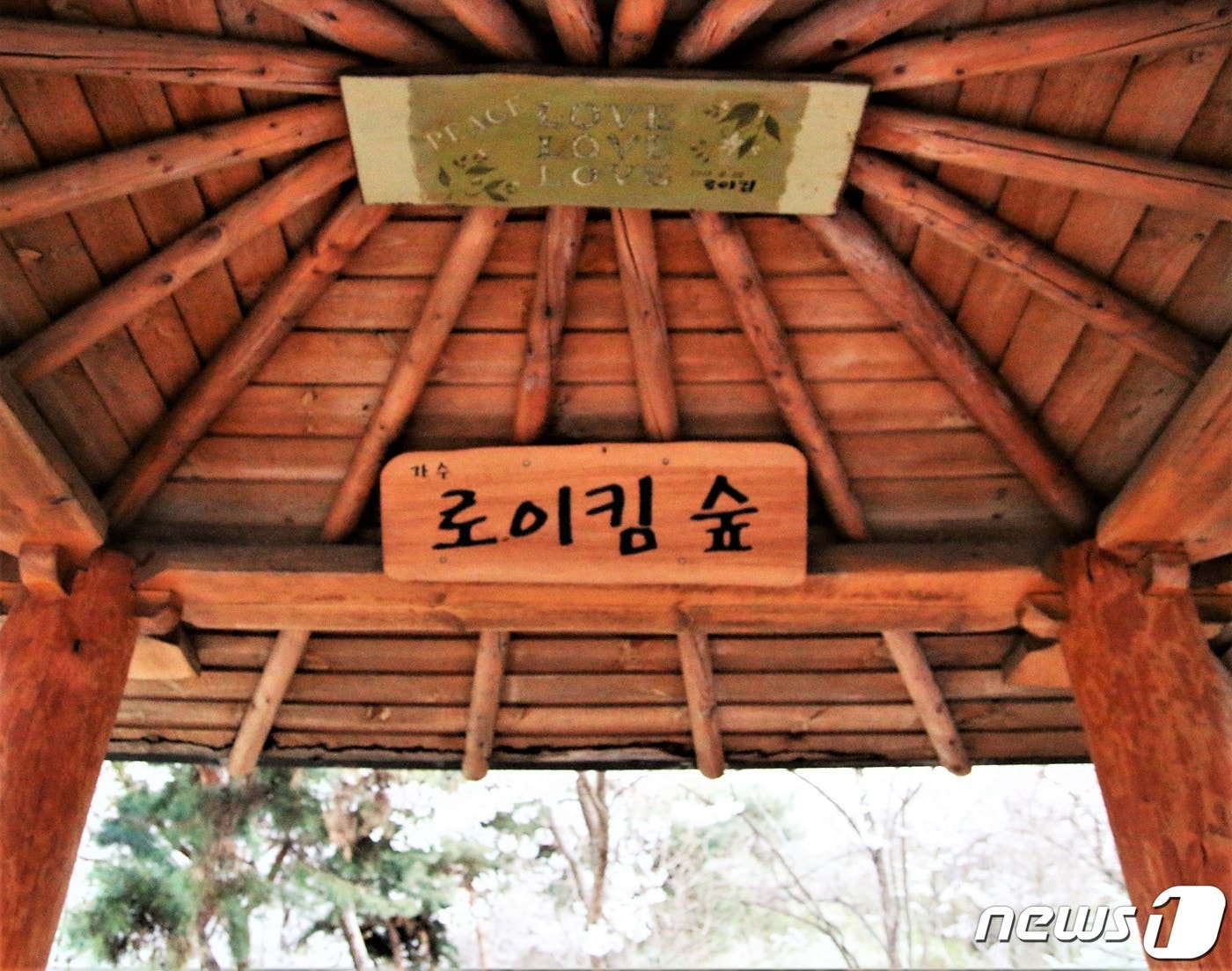 음란물 유포 혐의로 입건된 가수 로이킴(본명 김상우·26)의 이름을 따 서울 강남구 개포동 광역지하철 분당선 구룡역 바로 앞에 마련됐던 '로이킴숲'이 철거 수순에 들어갔다. 강남구청은 팬들과의 협의 없이 독자적으로 판단해 로이킴숲 내 우체통과 정자 현판을 의 문제제기 사흘 만인 지난 17일 뗐다고 19일 밝혔다. 사진은 지난 12일 방문당시 로이킴숲의 모습이다. 2019.4.19/뉴스1 ⓒ News1 황덕현 기자